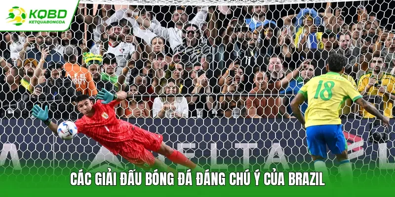 Các giải đấu bóng đá đáng chú ý của Brazil