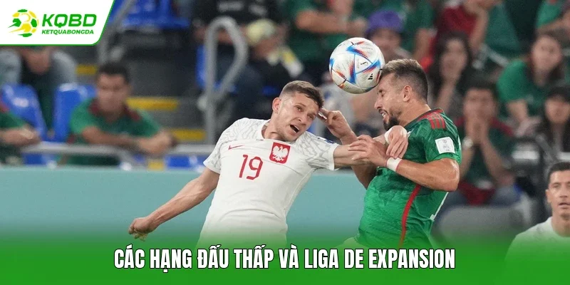 Các hạng đấu thấp và Liga de Expansion